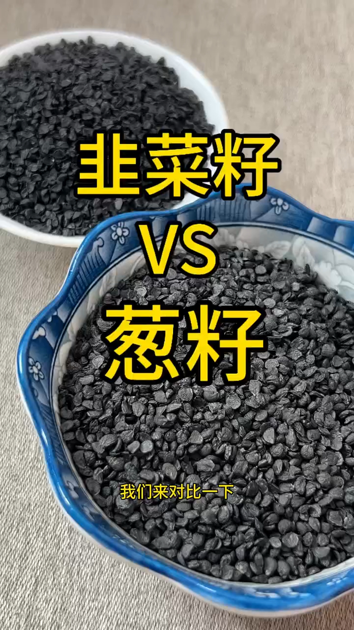 韭菜籽和葱籽你会区分吗