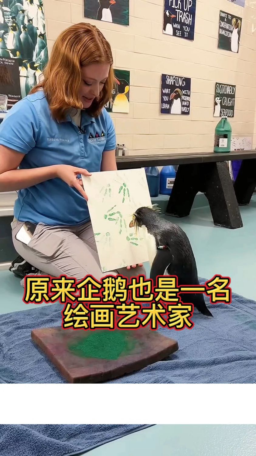 原来企鹅也是一名绘画艺术家