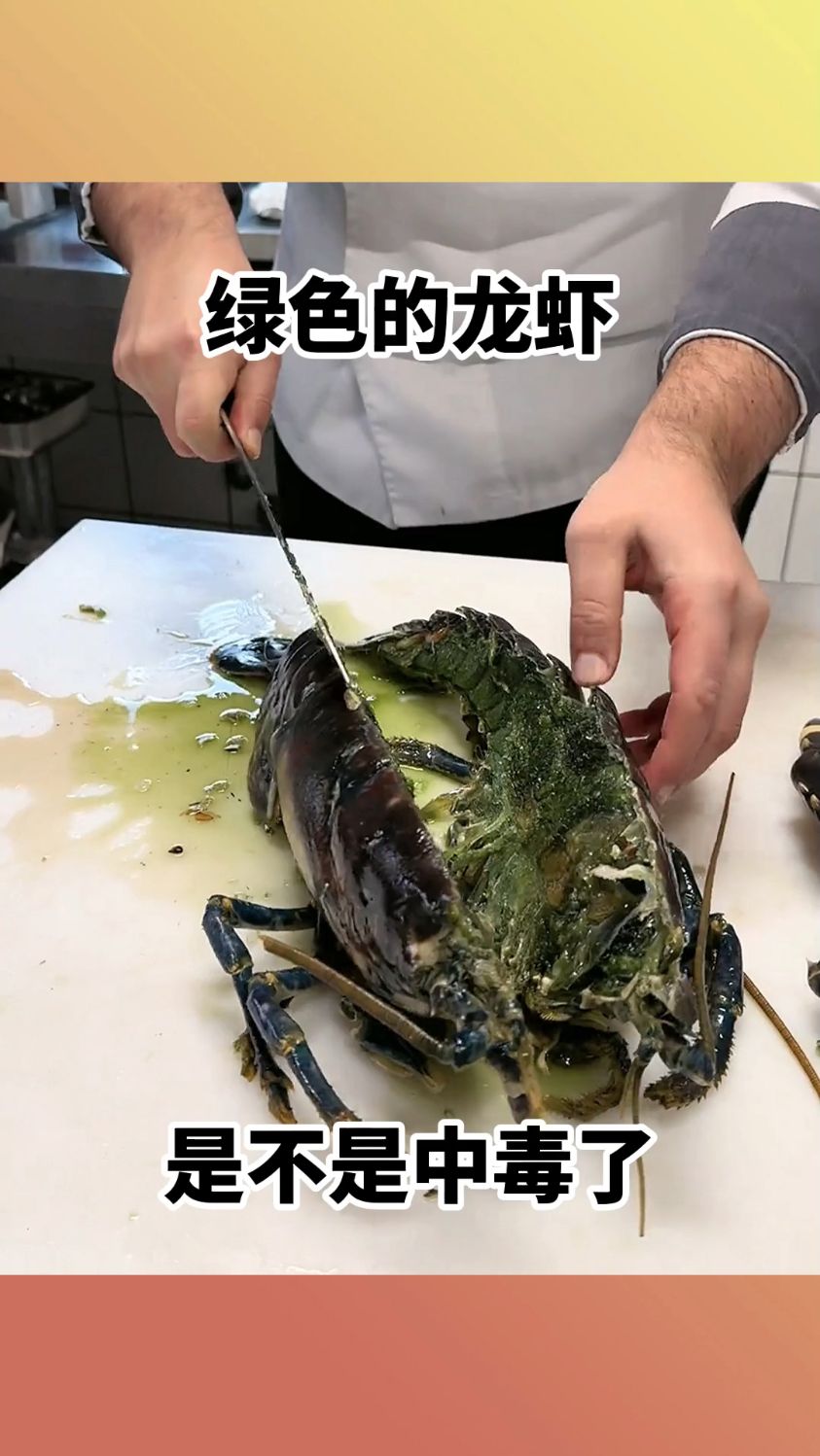 绿色的龙虾,是不是中毒了!