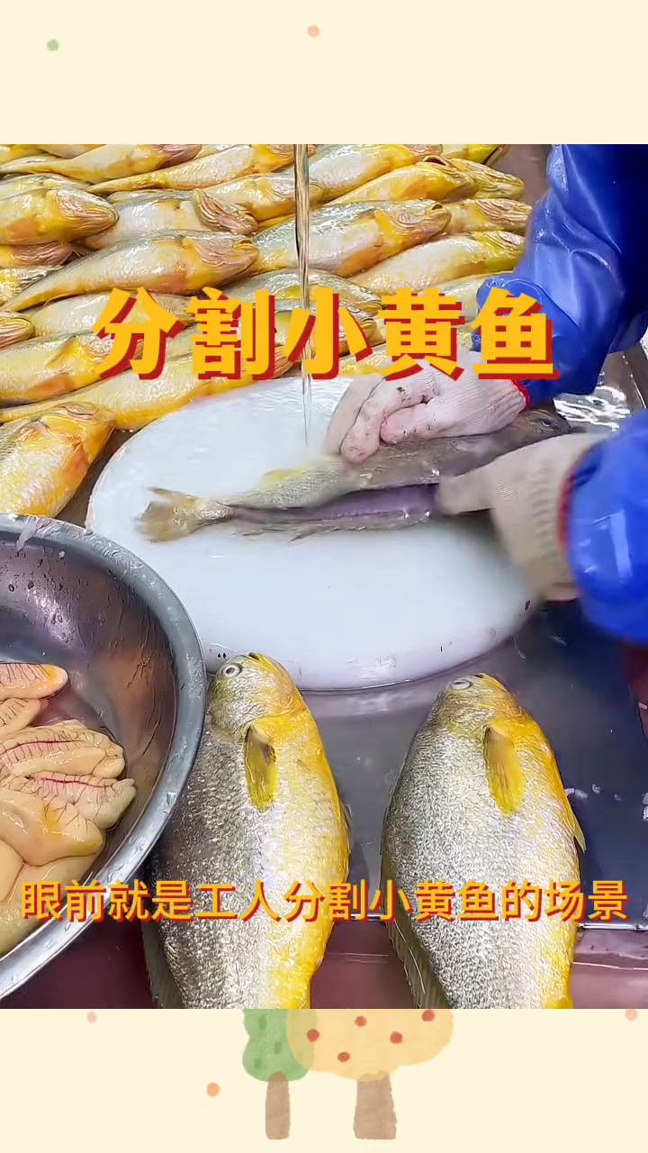 分割小黄鱼,手速太快了