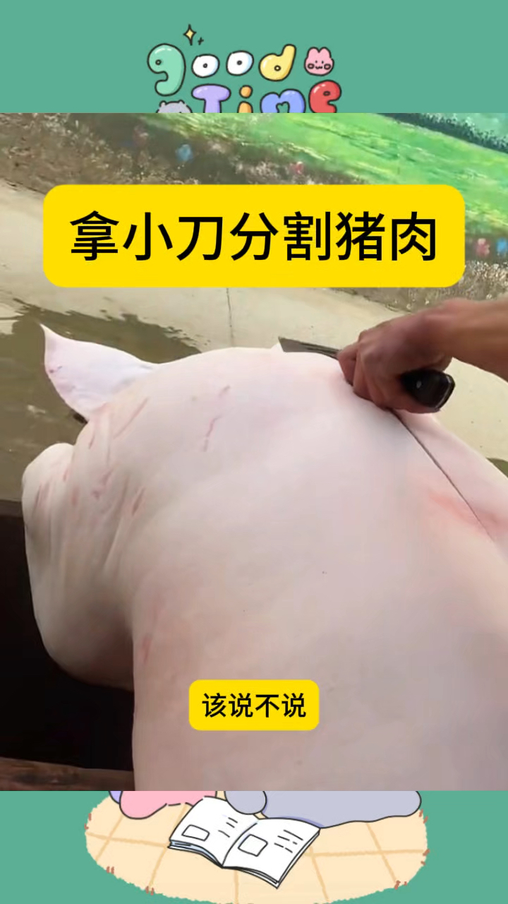 拿小刀分割猪肉,手法相当的准呀