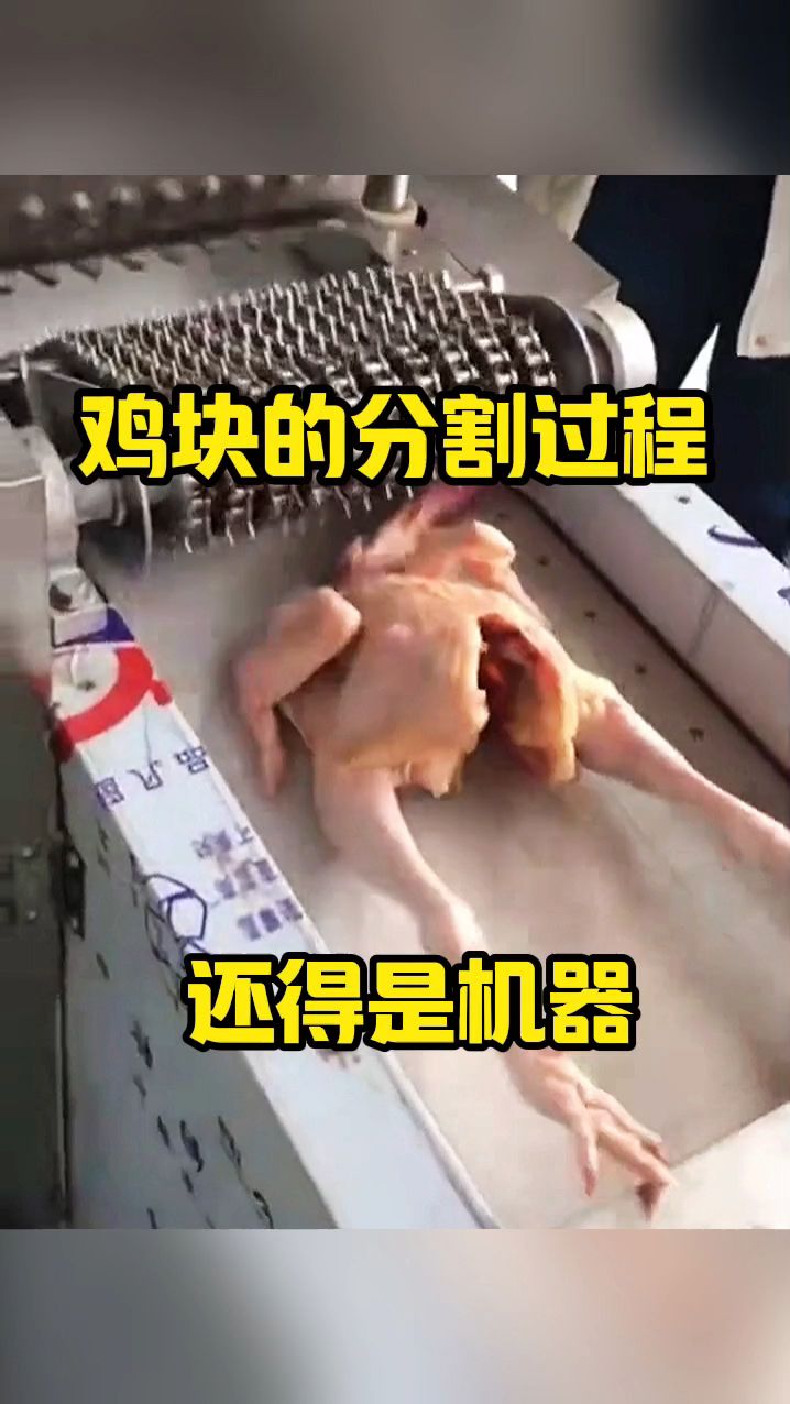 鸡块儿的分割过程,还得是机器!