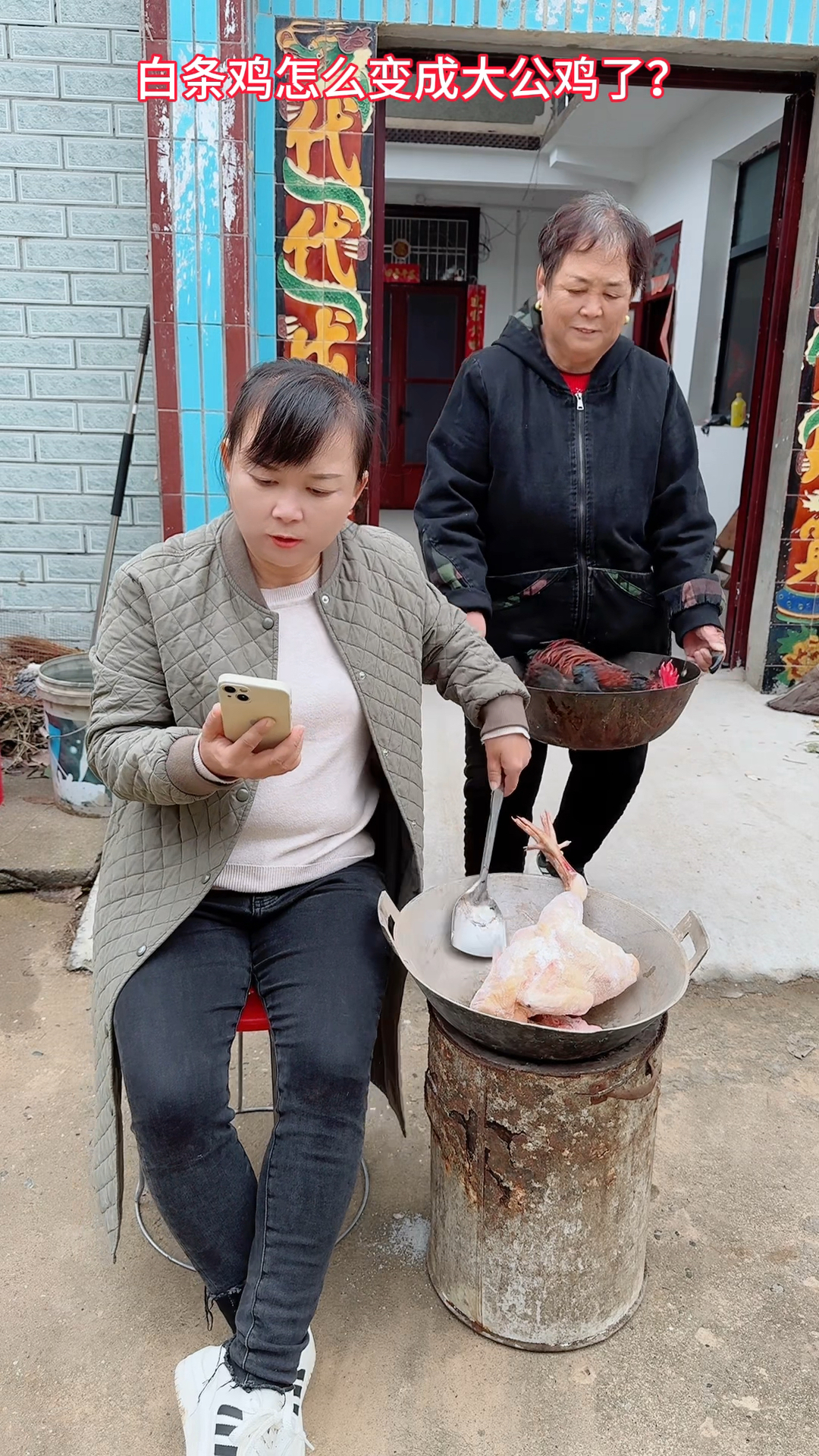 白条鸡怎么变成大公鸡了
