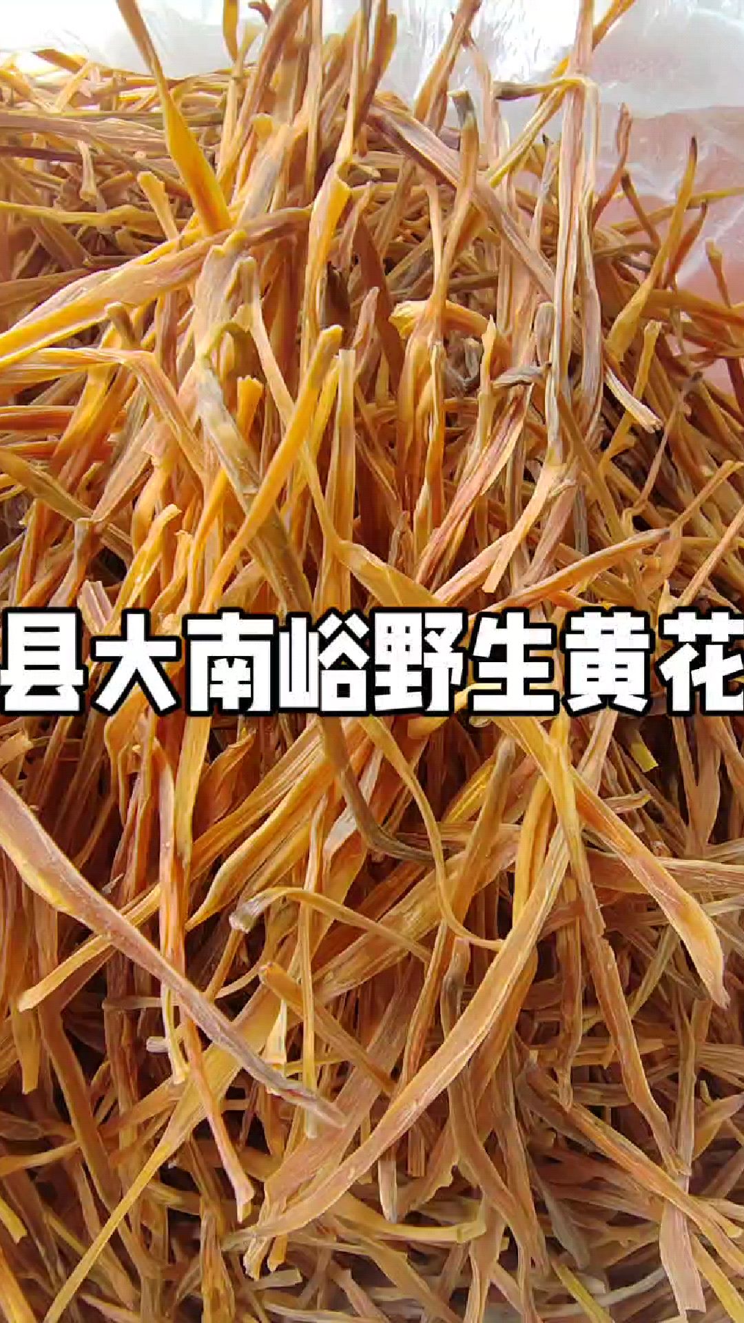 康县深山野生黄花菜,数量不是太多。