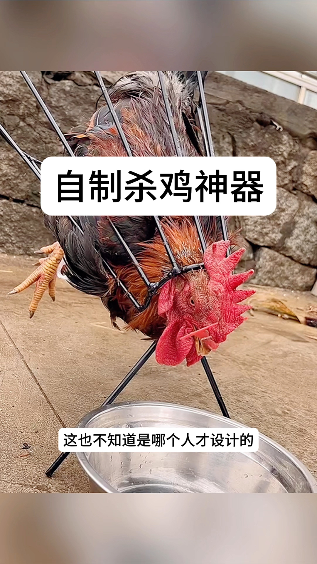 自制杀鸡神器,效果太好了