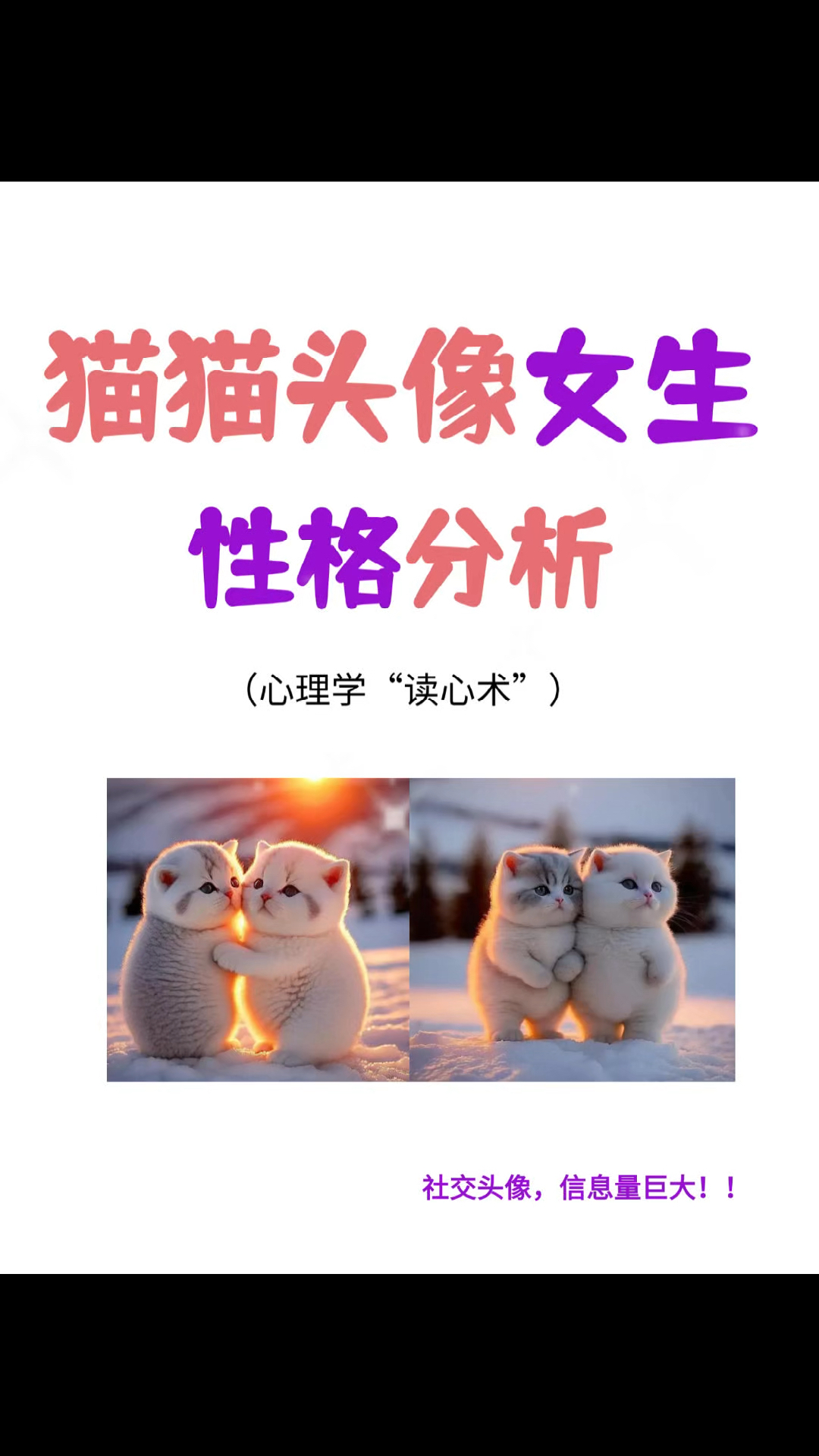 用猫咪做头像的女生,背后的性格密码分析...