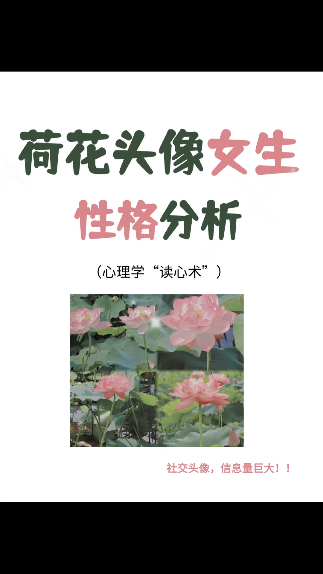用荷花做头像的女生,性格密码分析...