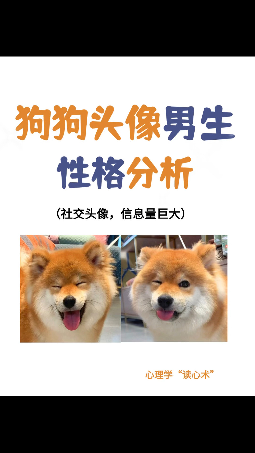 用狗狗做头像的男生,性格密码分析...