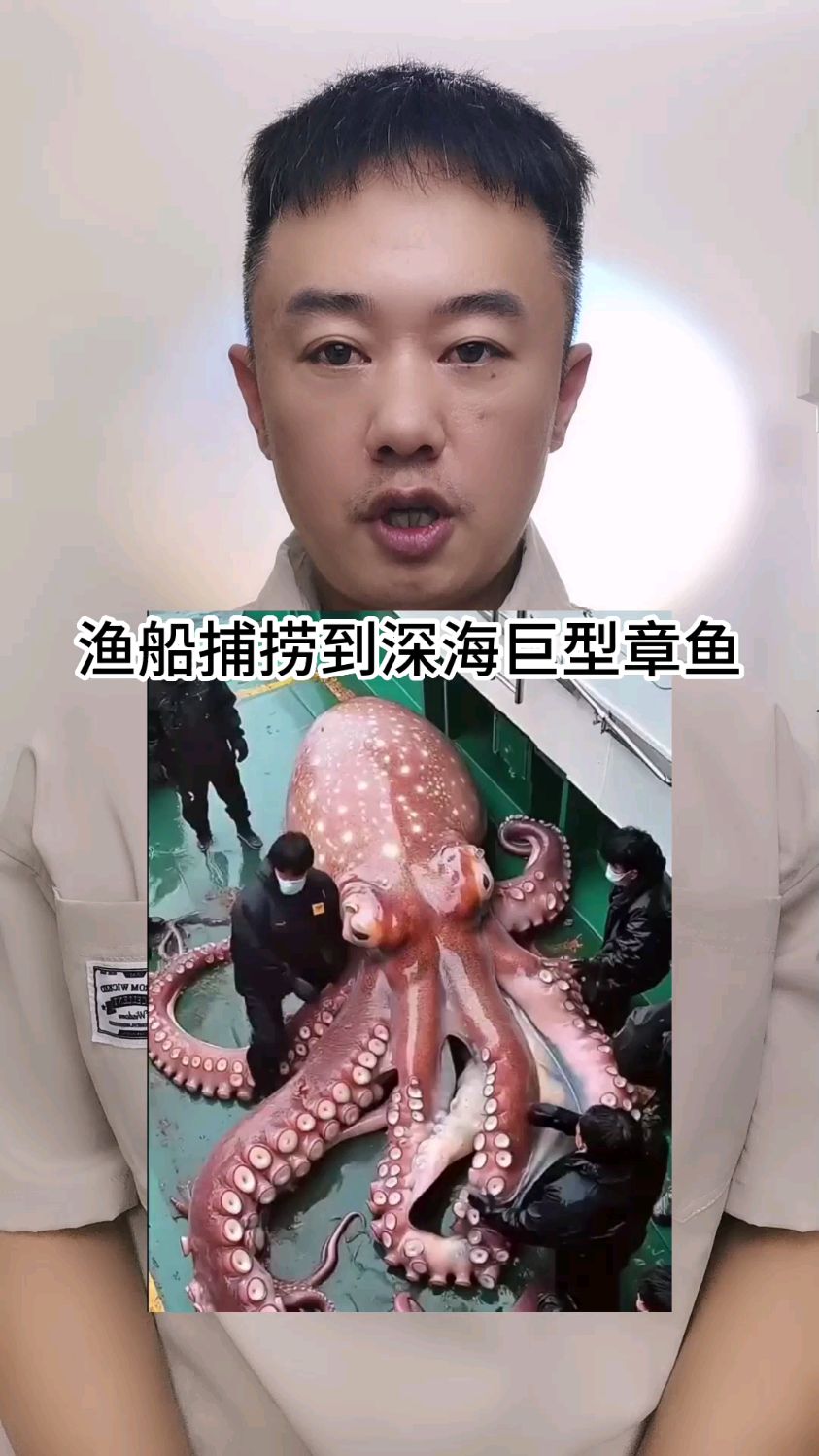 渔船捕获到深海巨型章鱼