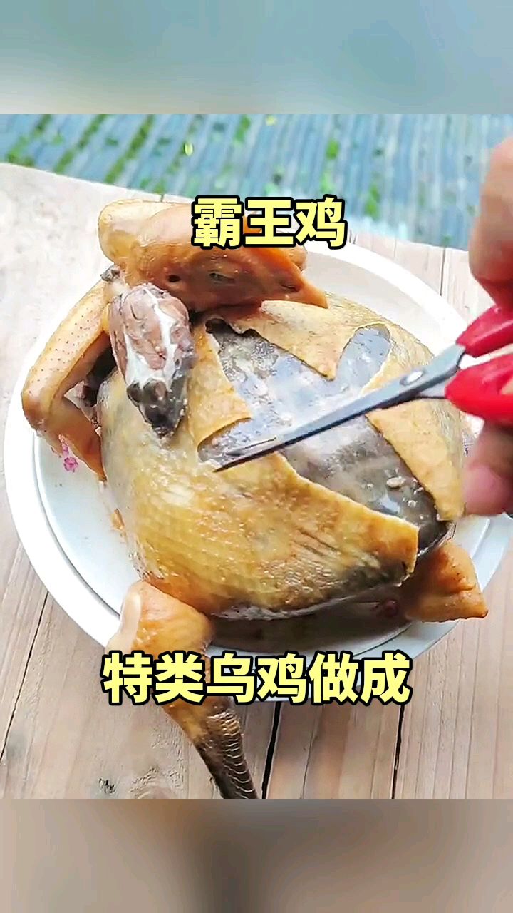 霸王鸡,特类乌鸡做成!