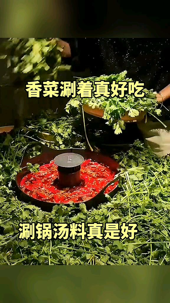 香菜涮着真好吃,涮锅汤料真是好!