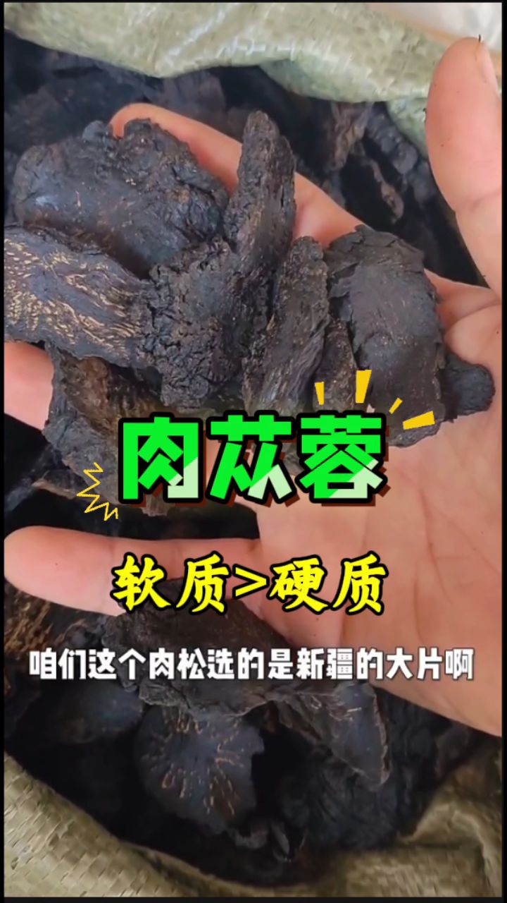 新疆「肉苁蓉」,婚后老公泡水好搭档