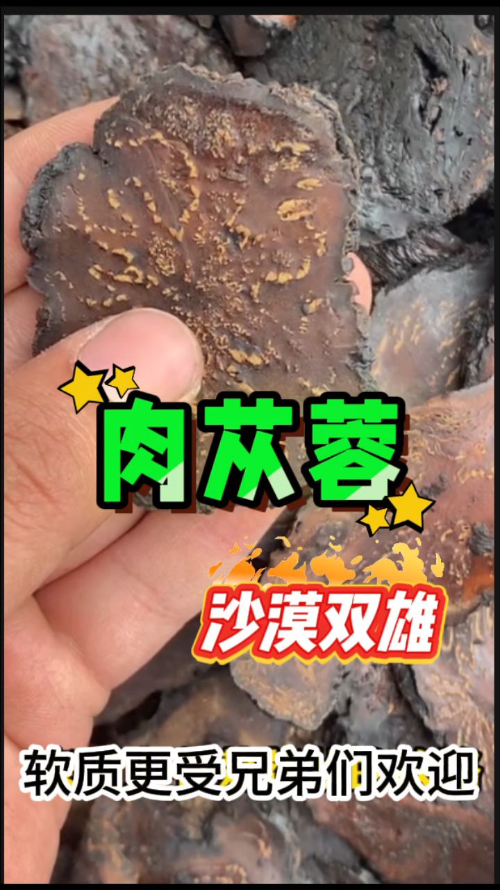 “沙漠双雄”「肉苁蓉」,兄弟们更喜欢软质的
