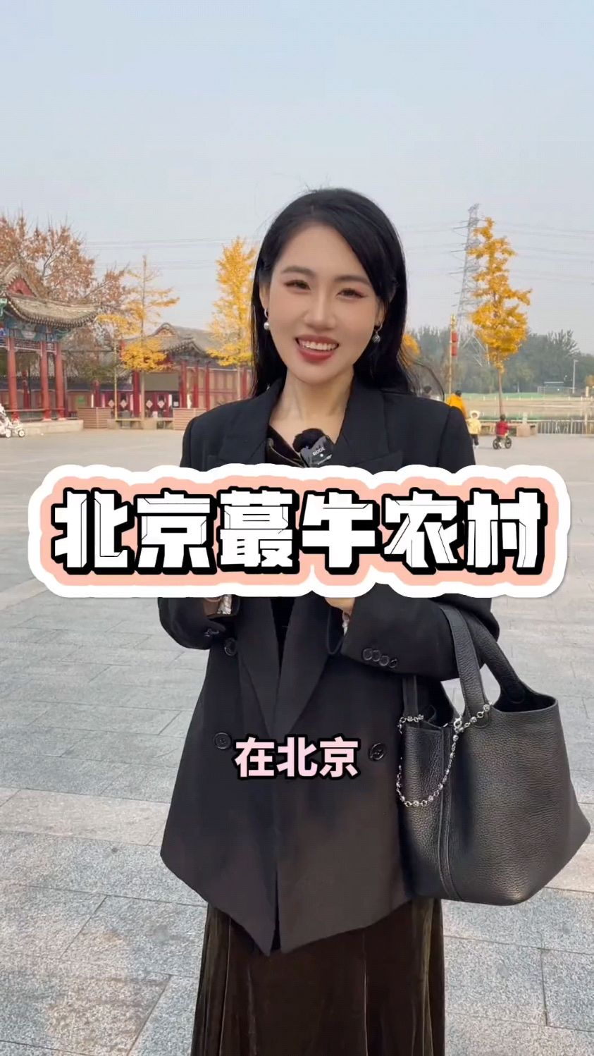 北京最厉害的“农村”——高碑店