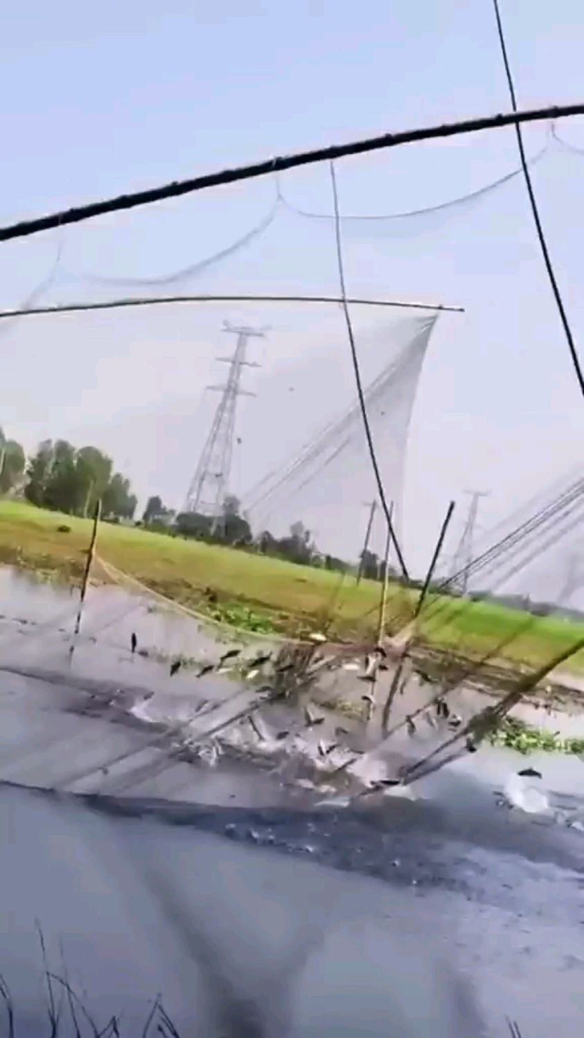 搬网捕鱼,起一下就能抓几十斤!