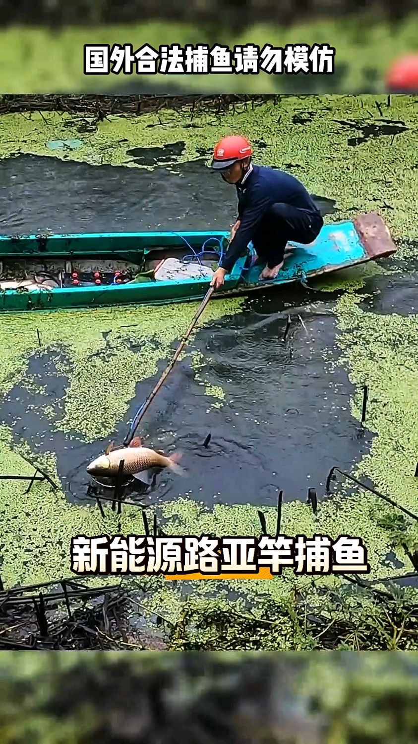 越南渔民为了捕鱼不讲武德,使用新能源路亚竿把鱼电昏死过去