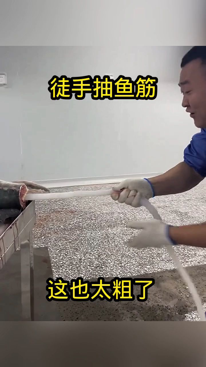 徒手抽鱼筋,这也太粗了!
