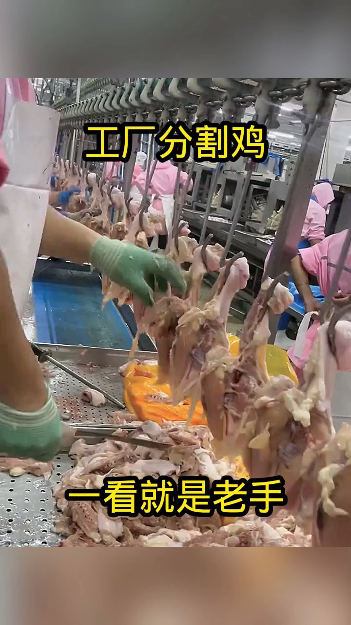 工厂分割鸡,一看就是老手!