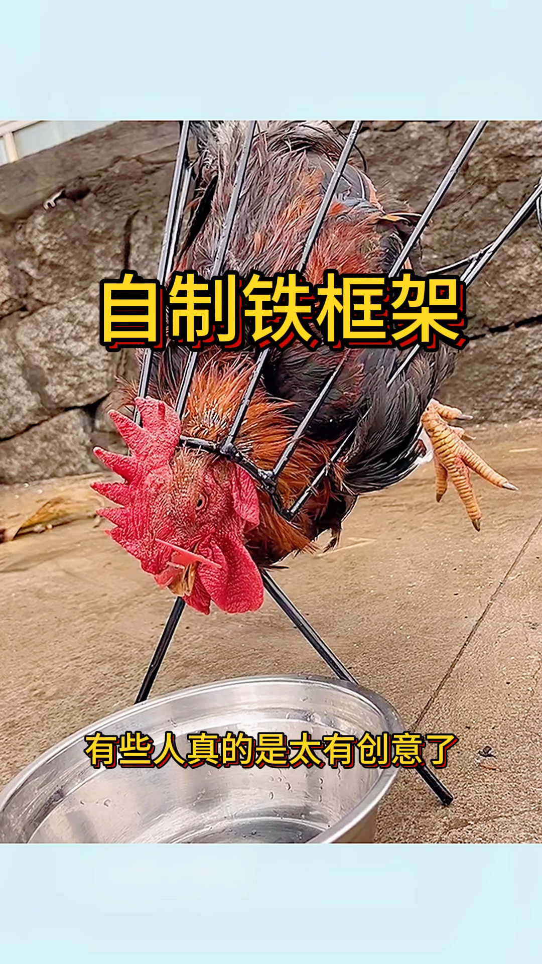 自制铁框架,杀鸡太方便了