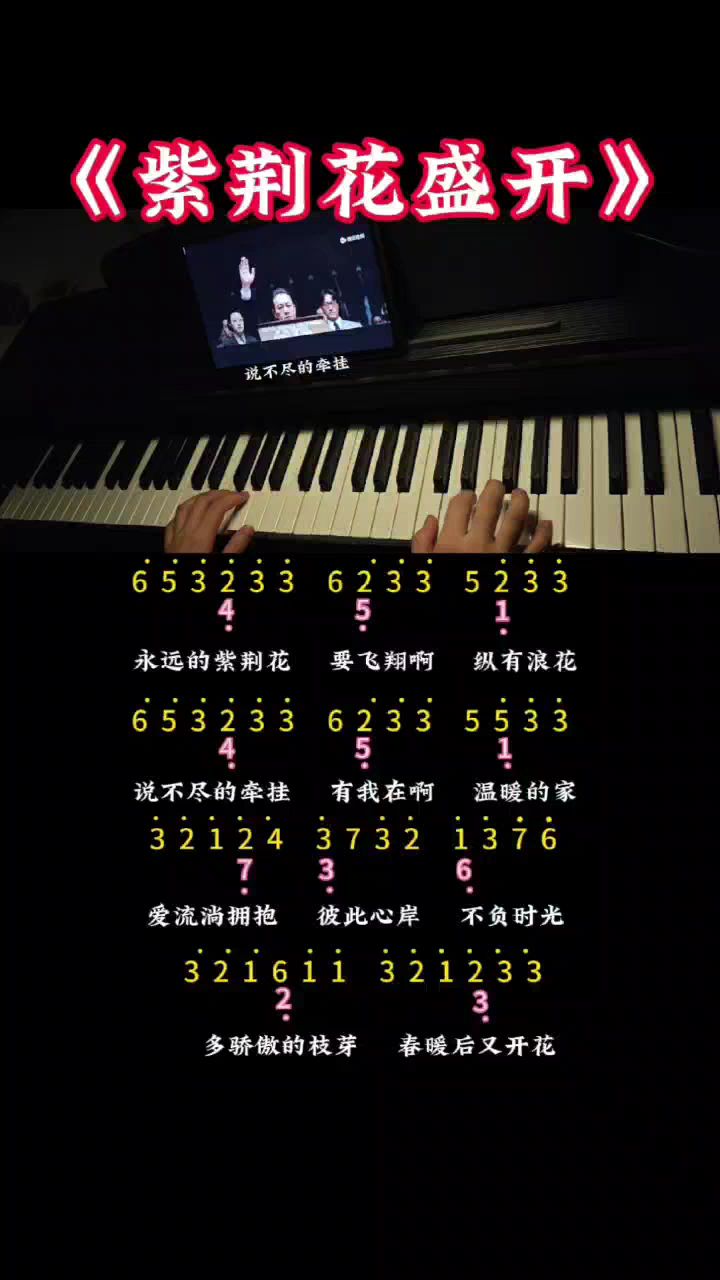 《紫荆花盛开》双手最简版数字简谱