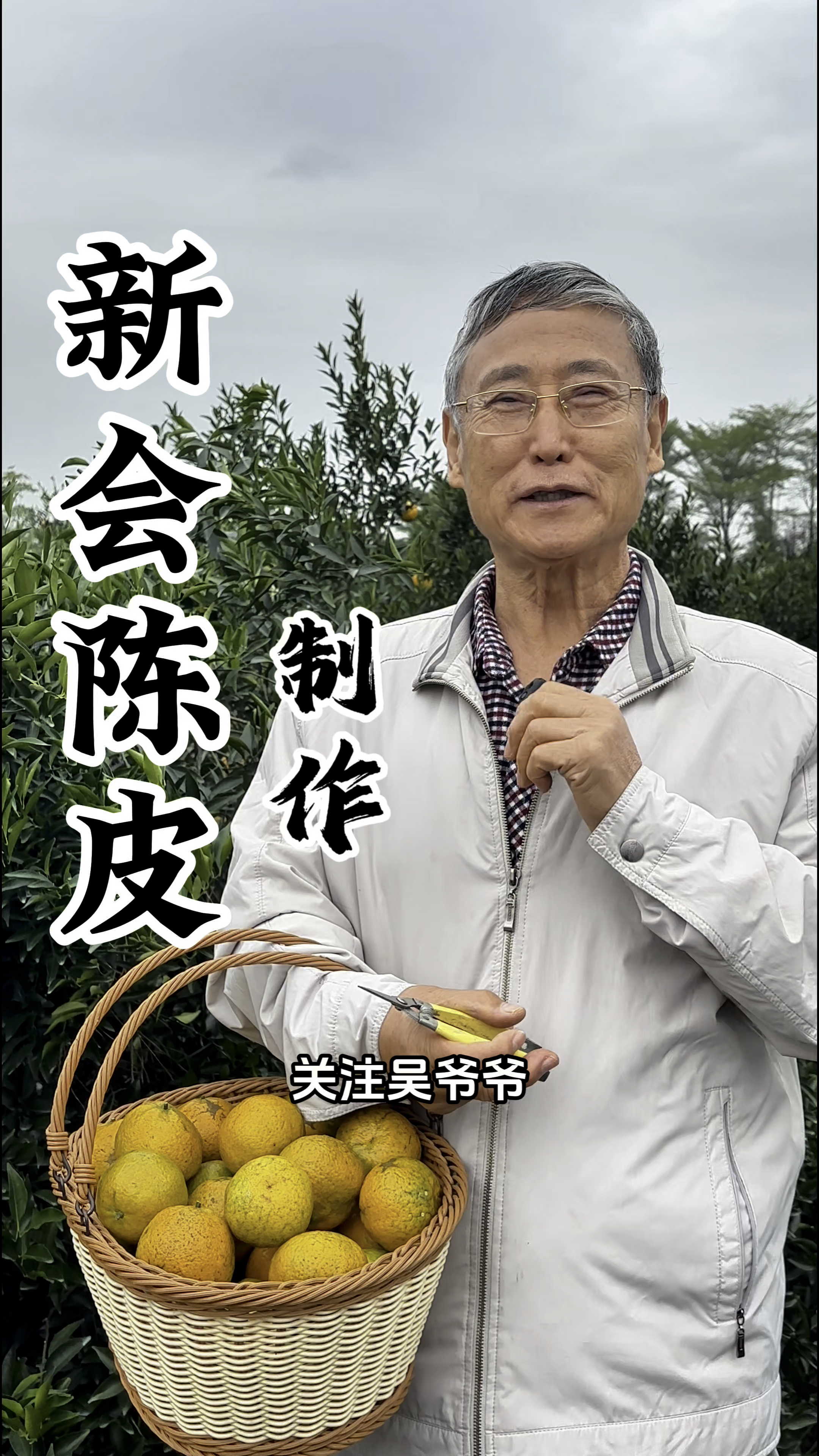 一个小方法让您躺赢成为收藏家,教您制作广东三宝之首,新会陈皮