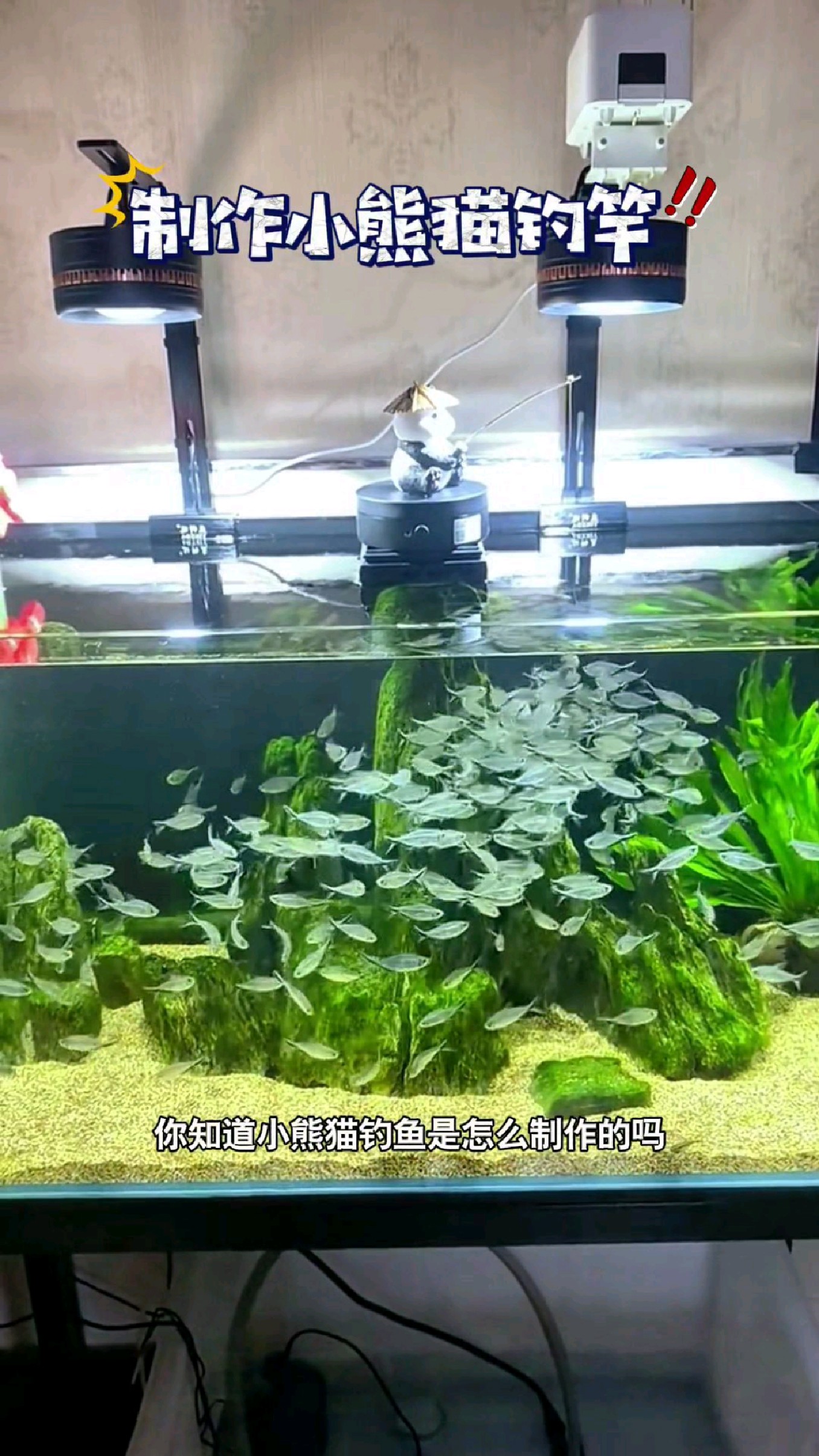 你知道小熊猫钓鱼是怎么制作的吗?#我的钓鱼日记 #钓鱼