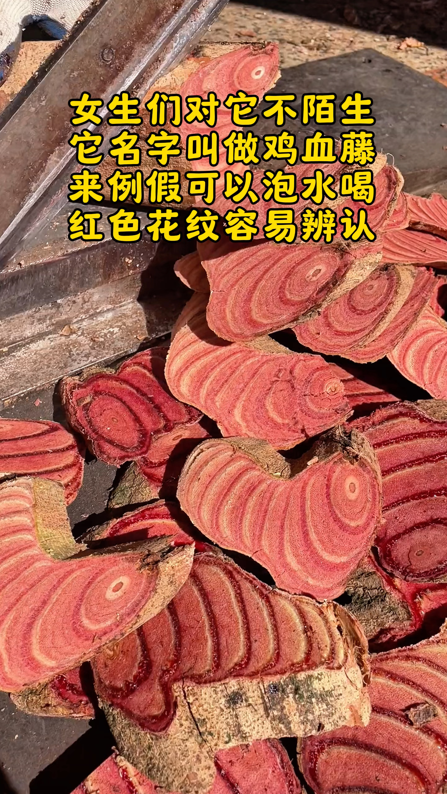 女生们对这个应该一点都不陌生,它的名字叫做鸡血藤