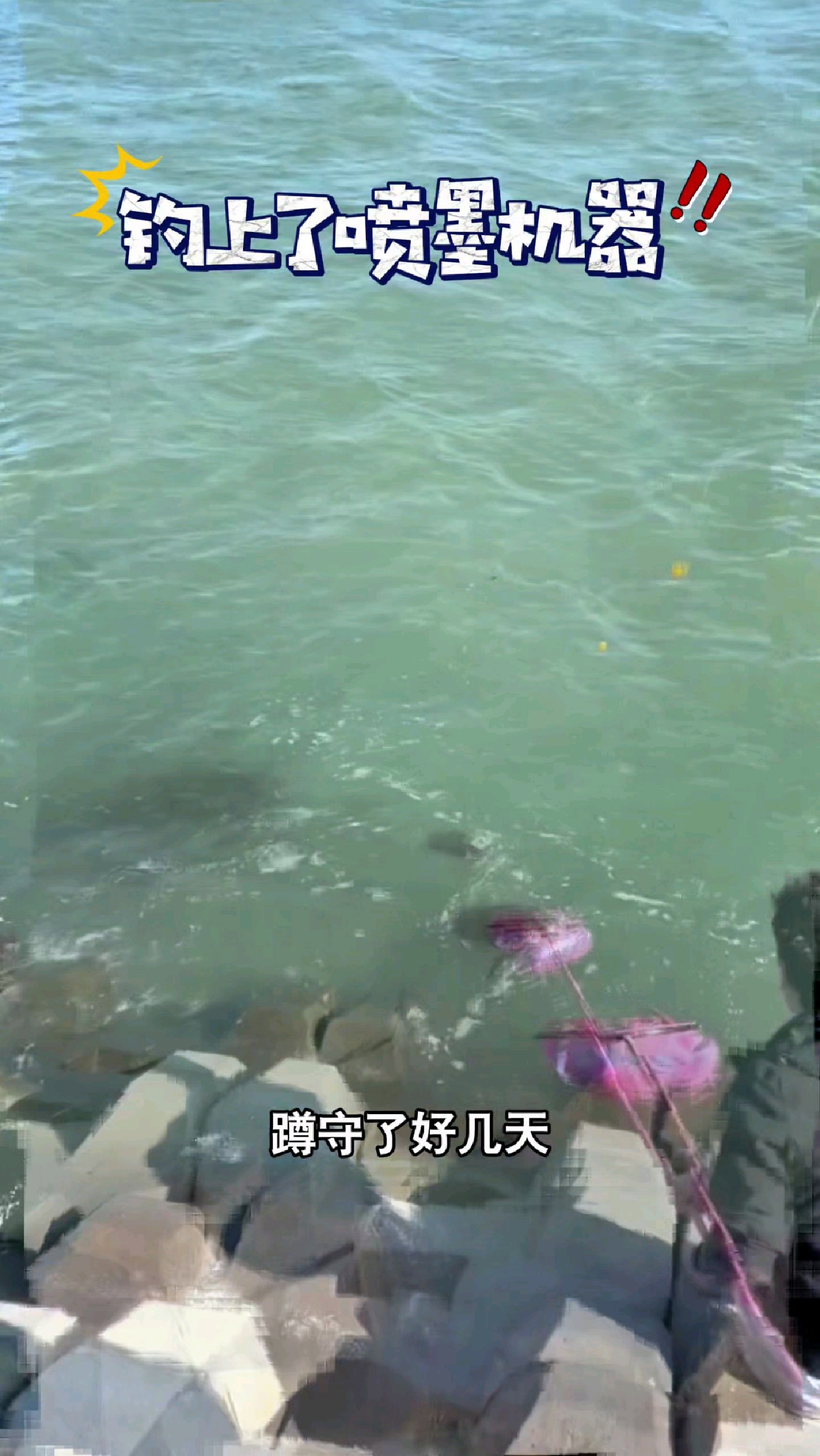 野河钓到了大鱿鱼#我的钓鱼日记 #钓鱼也能这么快乐