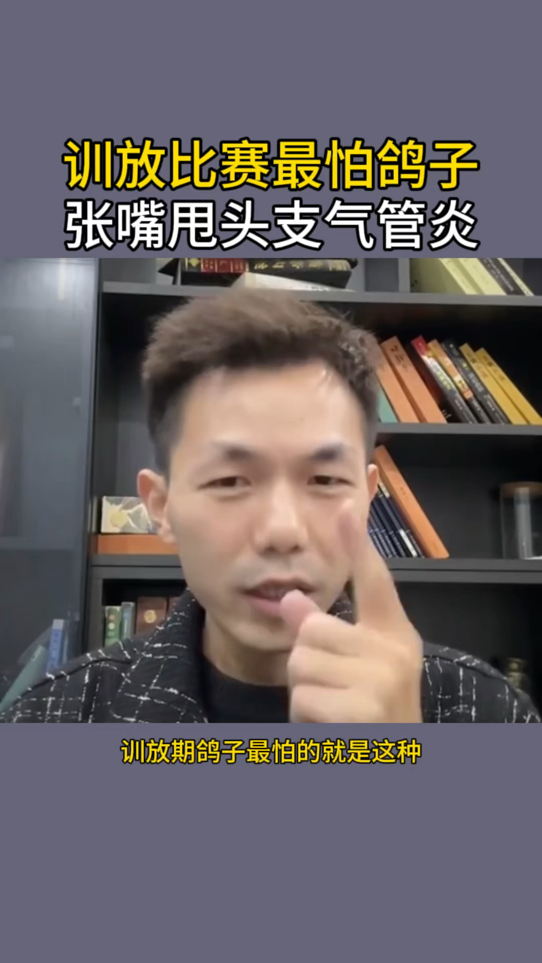 训放比赛最怕鸽子挠头甩头伸脖子呼吸 #赛鸽信鸽 #职业赛鸽