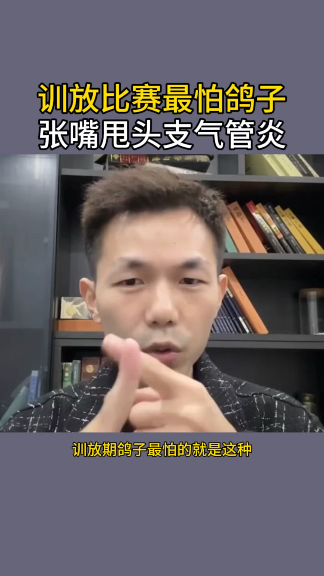 训放期最怕鸽子挠头甩头伸脖子呼吸 #赛鸽信鸽 #职业赛鸽比赛
