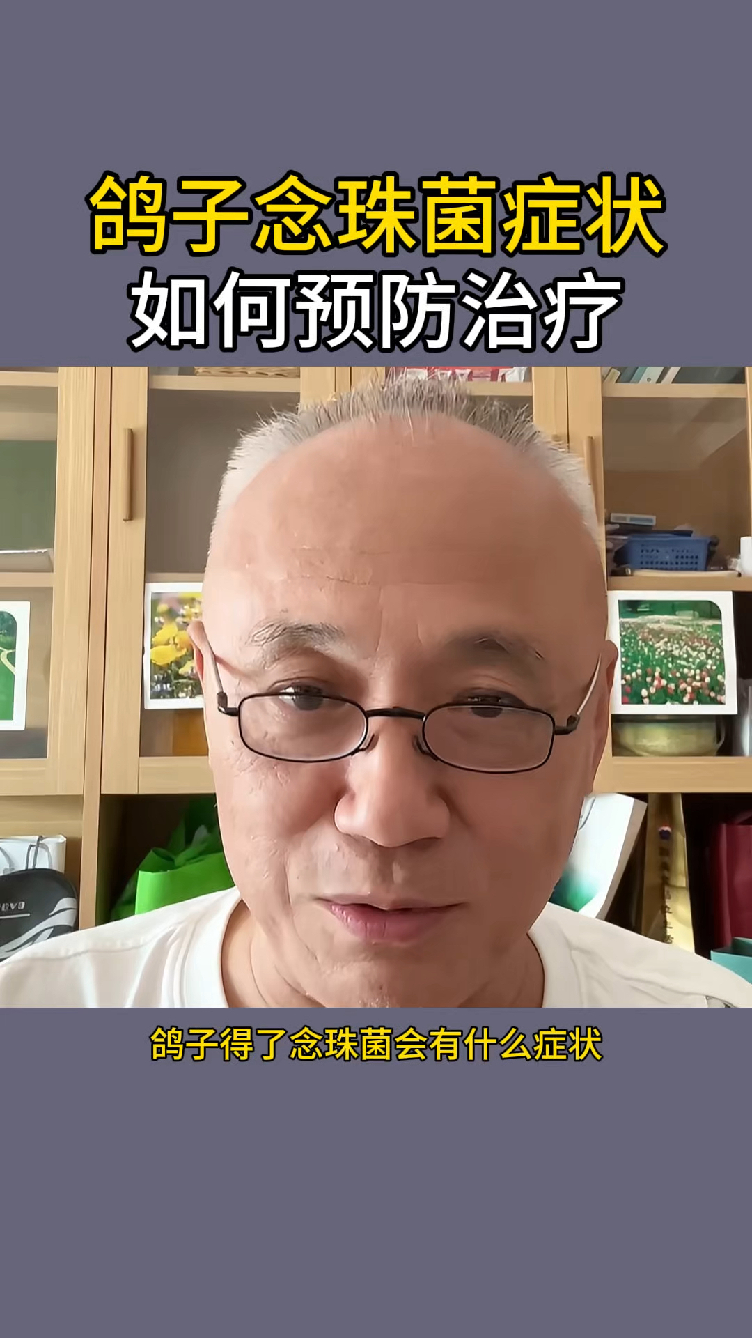 鸽子念珠菌症状 #赛鸽信鸽 #大体元宝圆环鸽 #每日分享养鸽知识