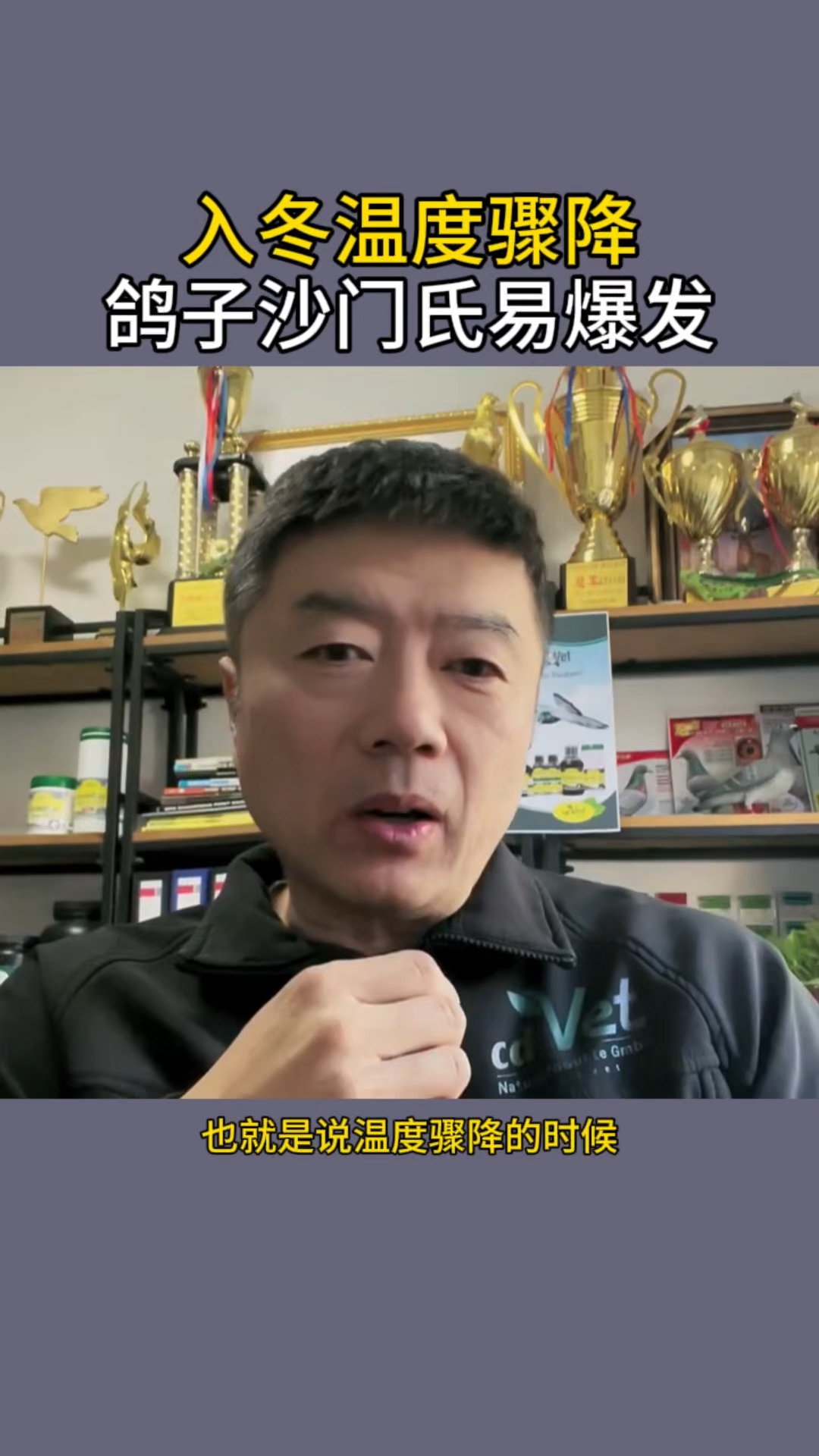 入冬温度骤降,鸽子沙门氏易爆发#赛鸽信鸽 #大体元宝圆环鸽