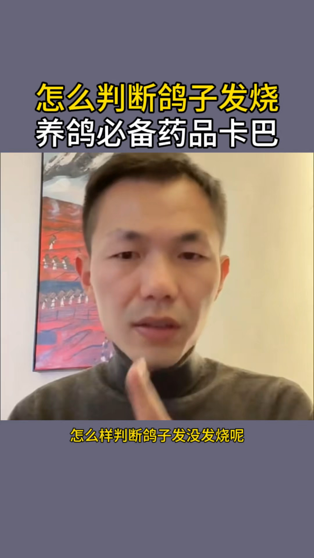 养鸽必备救命药,卡巴匹林钙 #赛鸽信鸽 #大体元宝圆环鸽