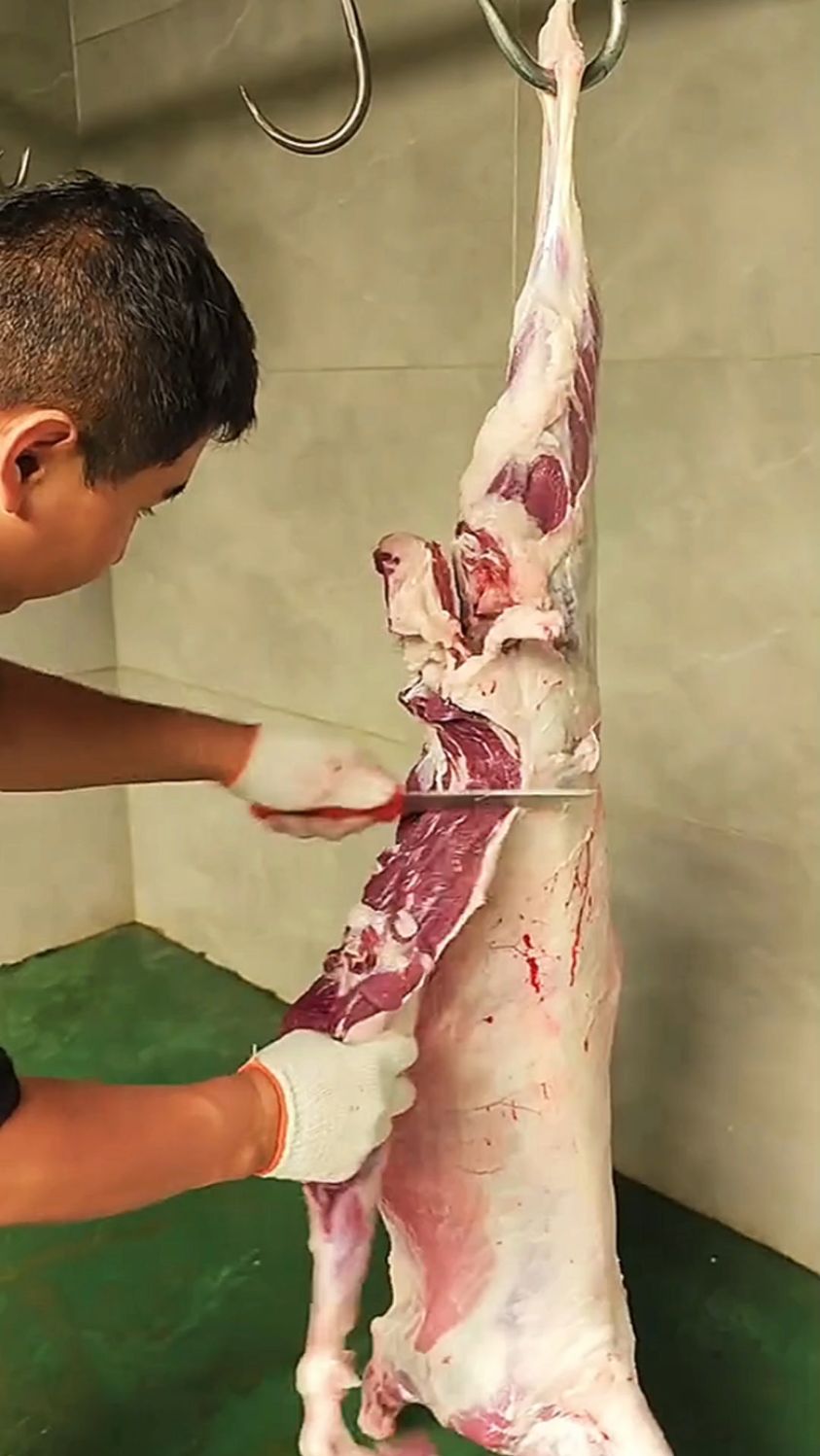 分解羊肉的做法。