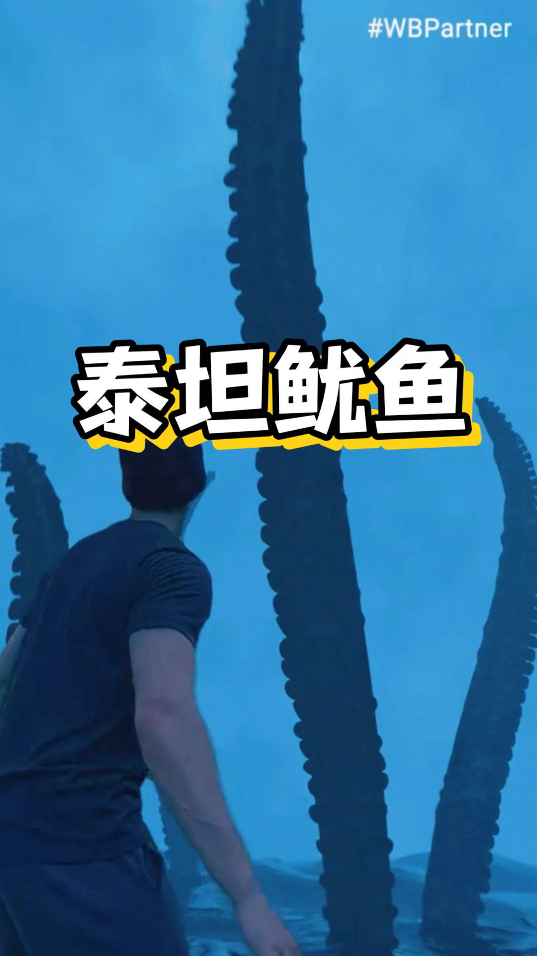 大王酸浆鱿 #鱿鱼 #大王酸浆鱿 #科普 #海外知新#海洋生物