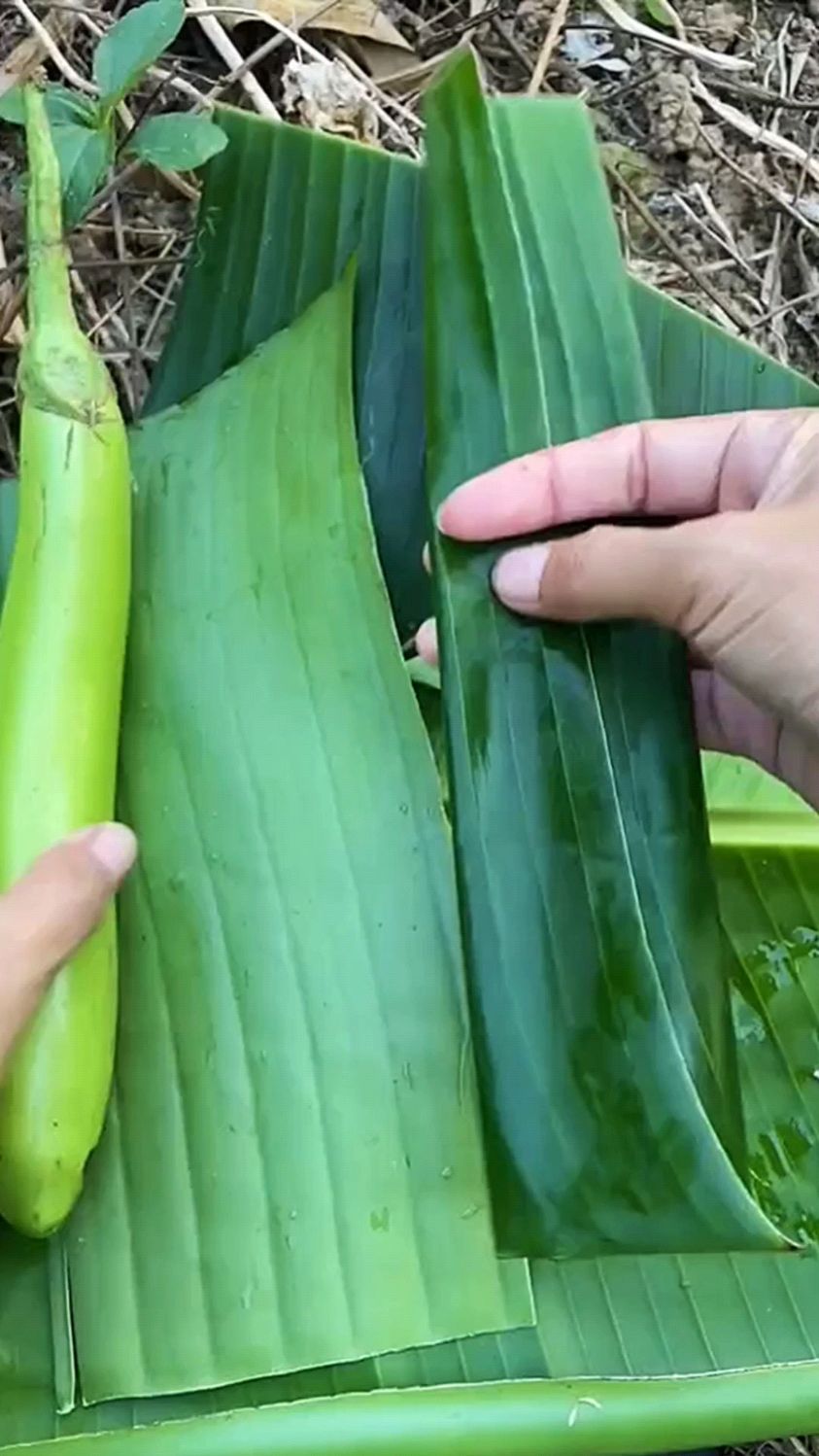 茄子打包装的新方法