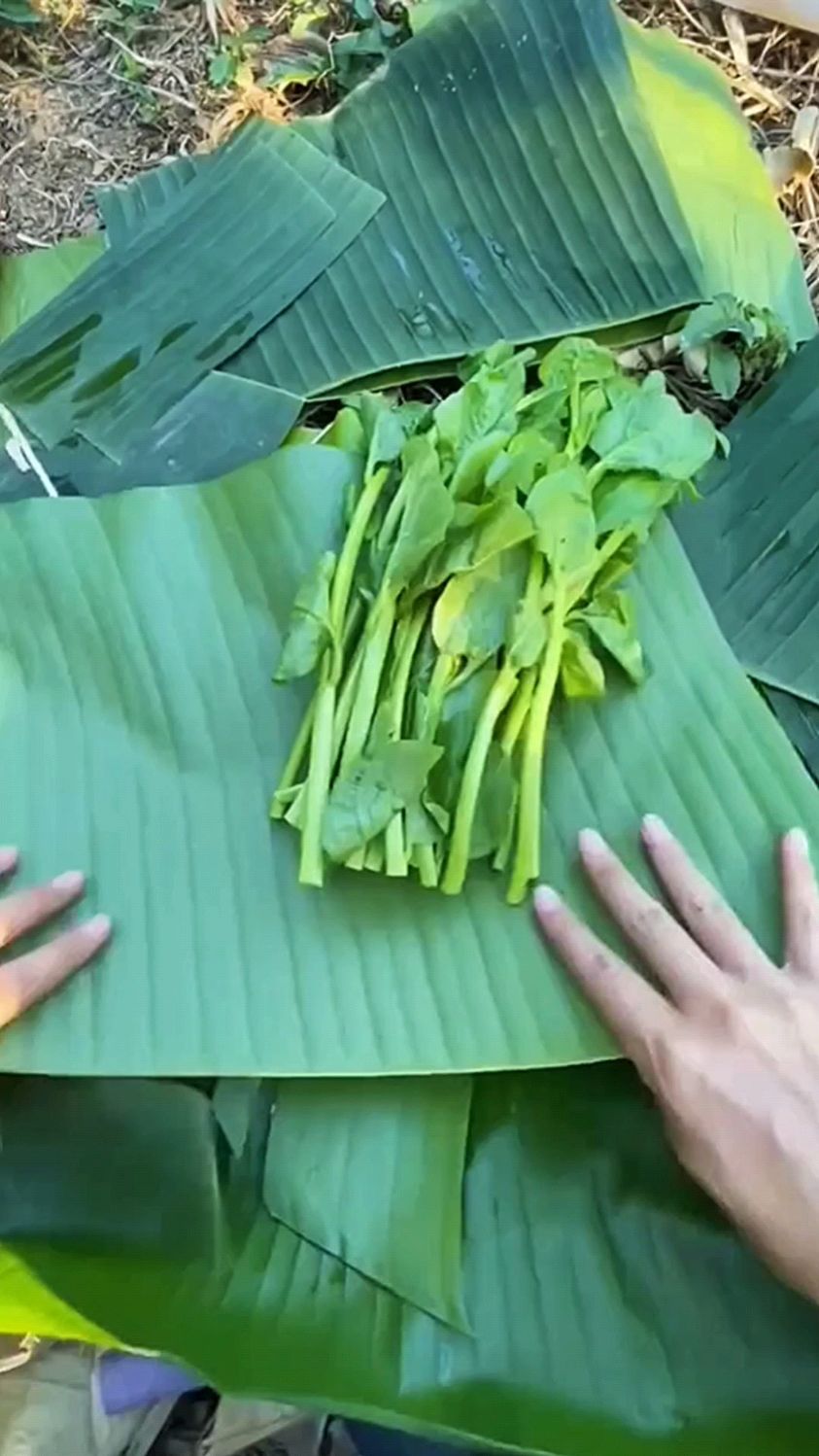 青菜打包装的新方法