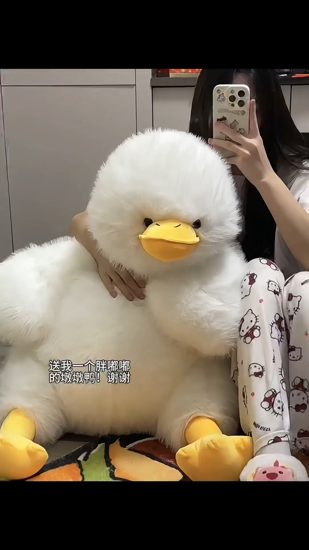 送我一个胖嘟嘟的墩墩鸭!谢谢!