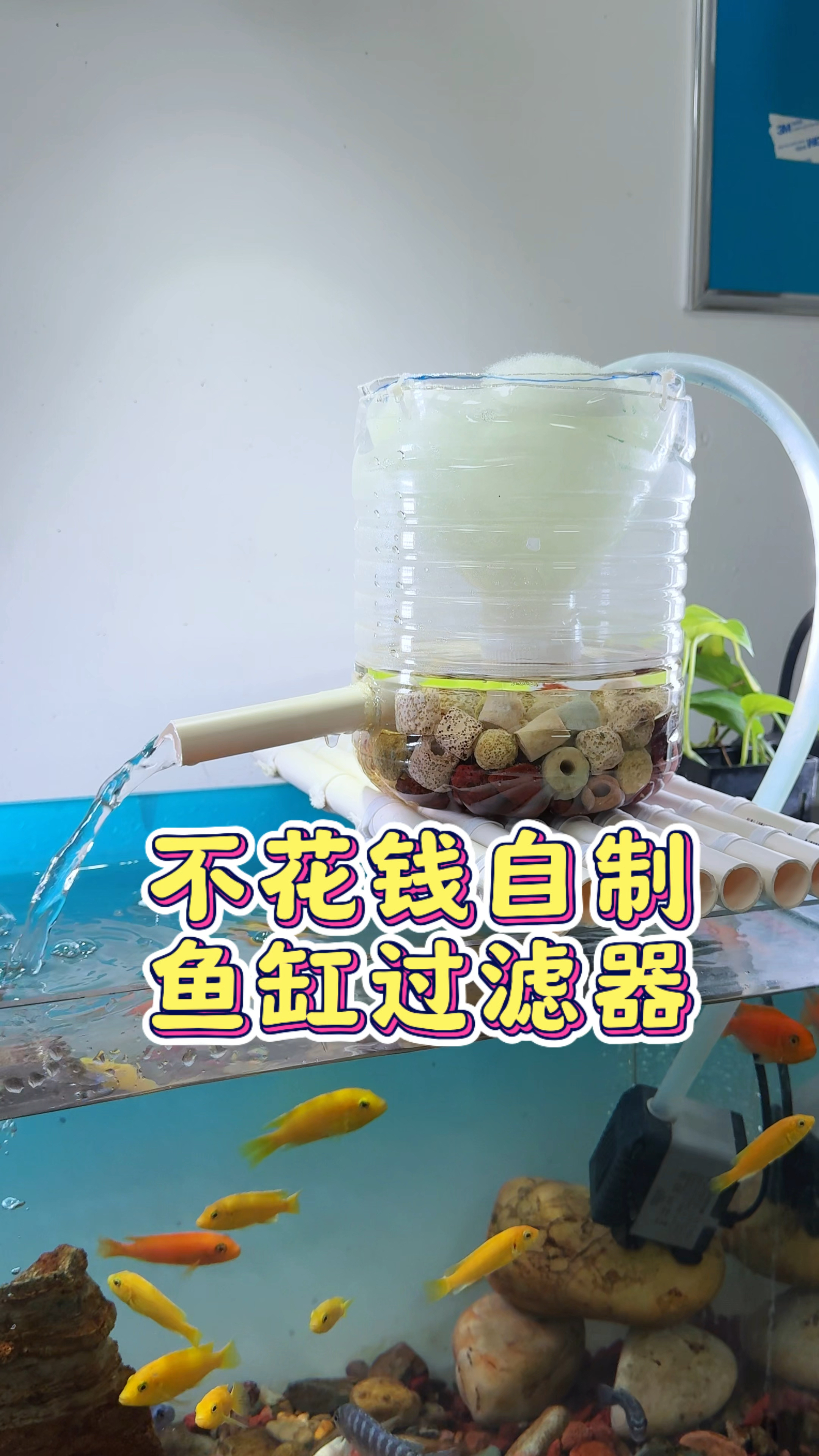 鱼缸过滤效果不好?快来试试这个不花钱的矿泉水瓶过滤#变废为宝
