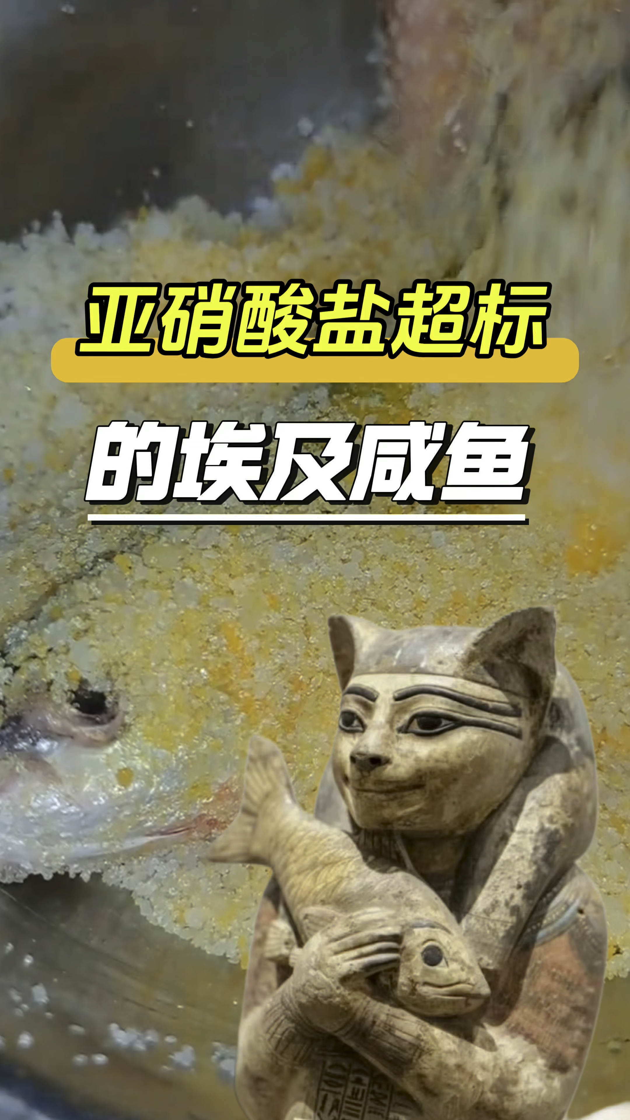 亚硝酸盐超标的埃及咸鱼