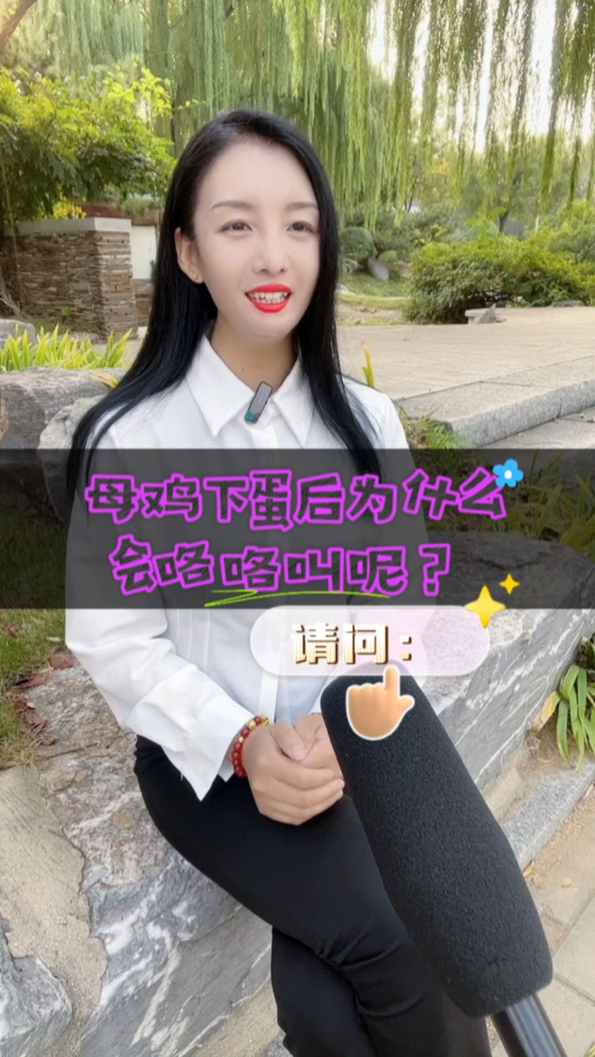 母鸡下蛋后为什么会咯咯叫呢?