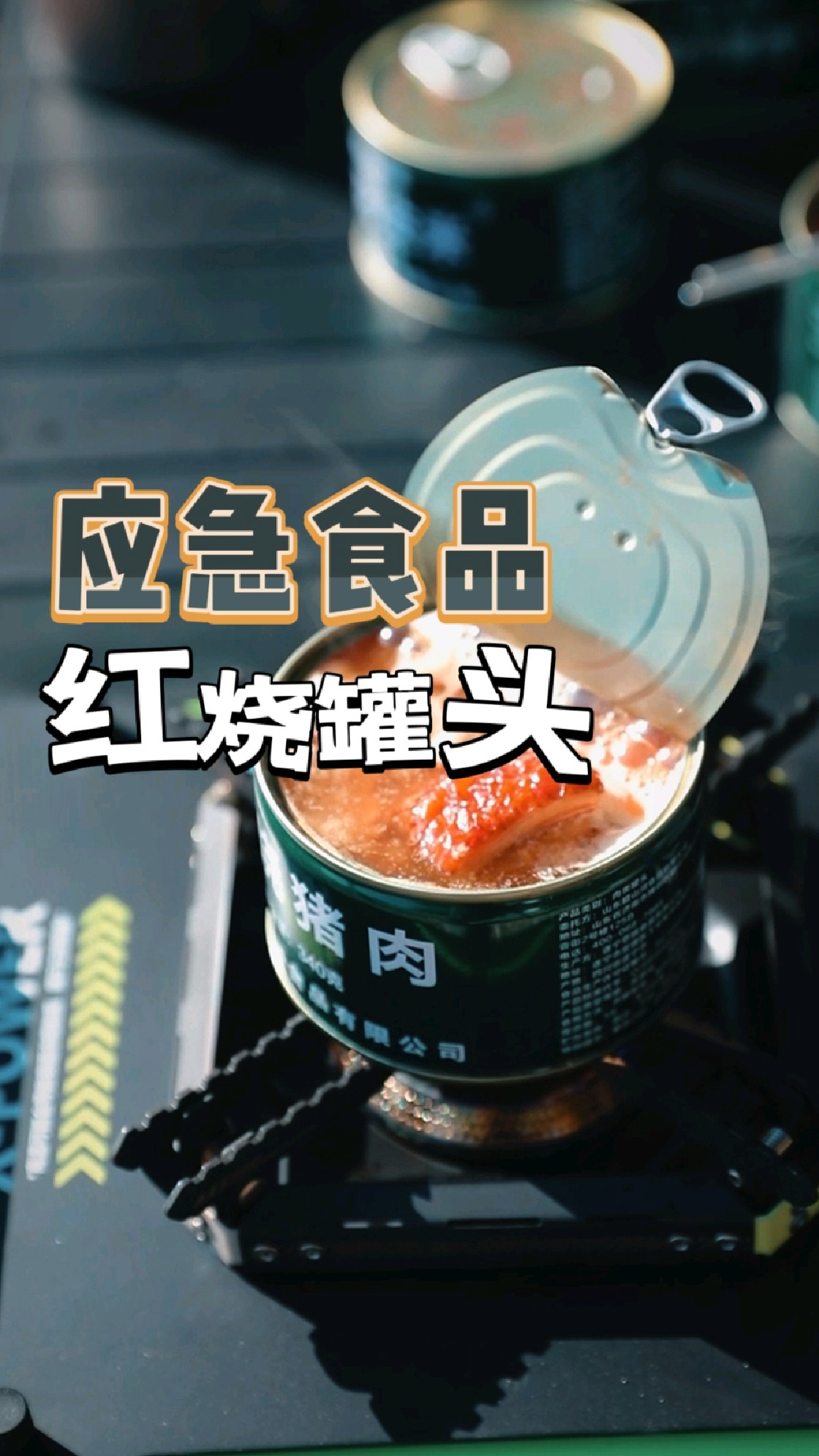 应急食品-红烧罐头:魁哥选的生存储备罐头荤腥,真别说,就是香!