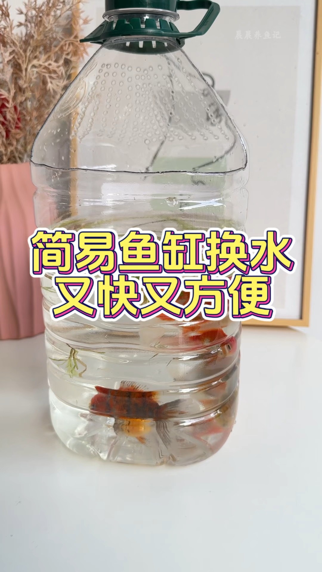 教你用个大矿泉水桶做个简易鱼缸换水又快又方便#变废为宝#塑料鱼