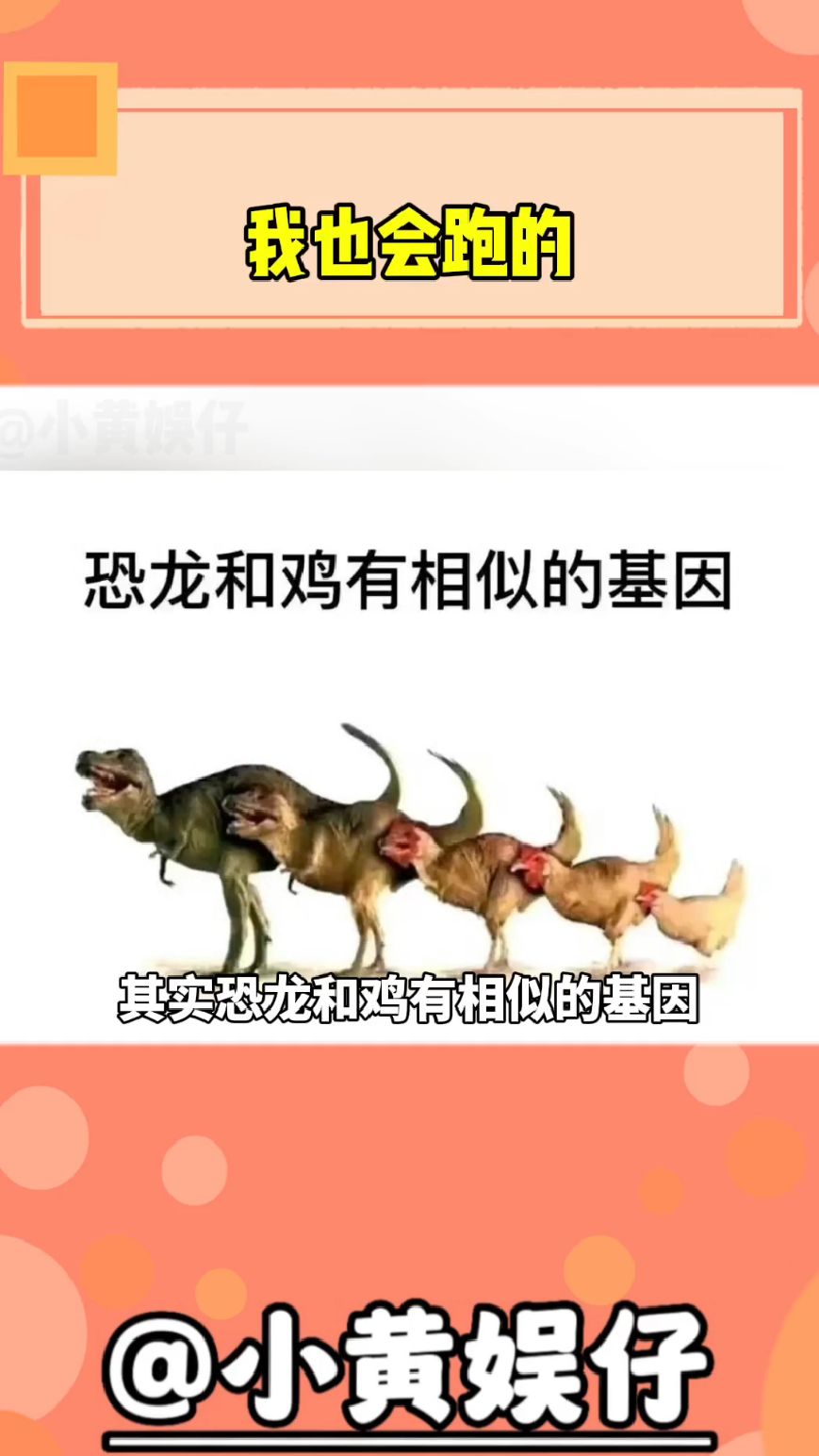 恐龙和鸡有相似的基因