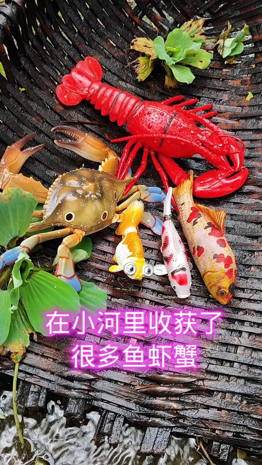 在小河里收获了很多鱼虾蟹