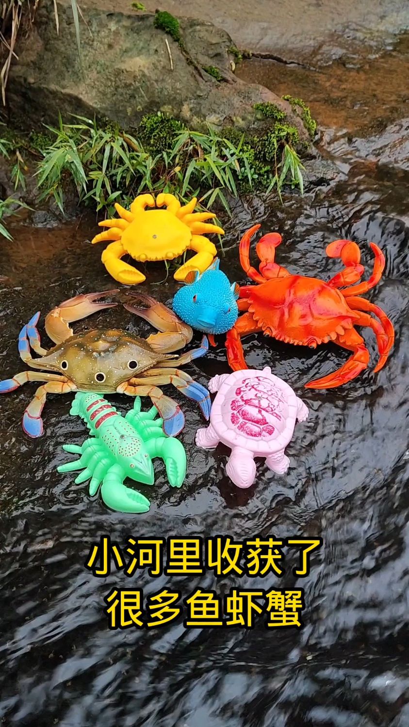 小河里收获了很多鱼虾蟹