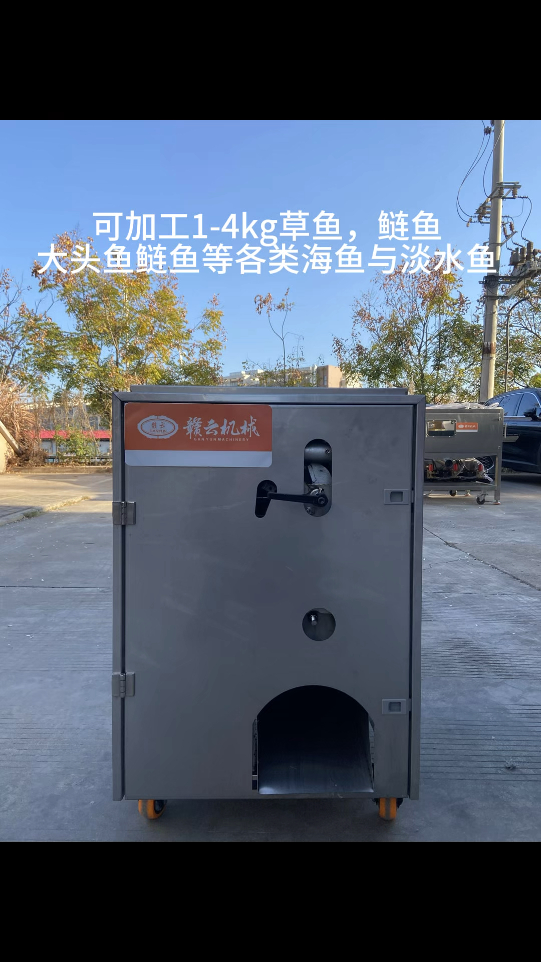 全自动杀鱼机开背去鱼鳞一体机,可加工1-4kg海鱼淡水鱼欢迎咨询
