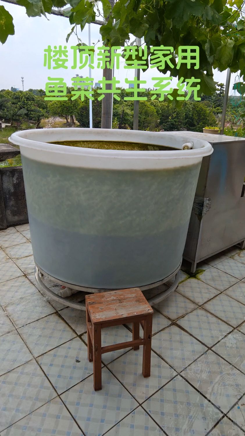 家里有阳台、有楼顶的朋友,我建议可以选这种鱼菜共生系统。