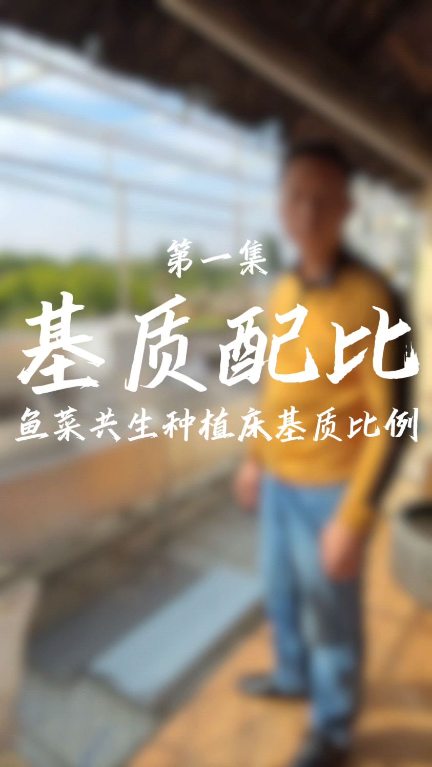 鱼菜共生系统种植床的基质如何配比更好?