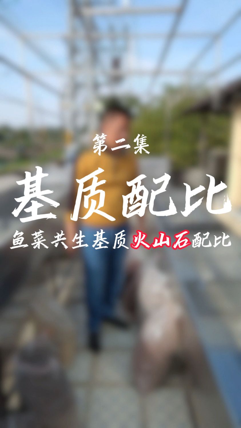 鱼菜共生系统种植床的火山石基质如何配比更好?按着这个比例放